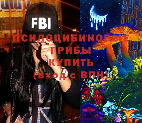 гашик Богородицк