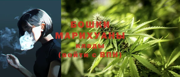 дурь Белокуриха