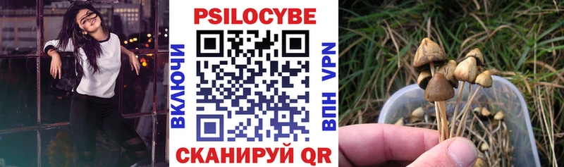 Галлюциногенные грибы Cubensis  Катайск 